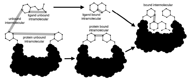 Diagrama dos estados termodinâmicos do docking molecular: interações intramoleculares e intermoleculares nos estados unbound e bound do complexo proteína-ligante